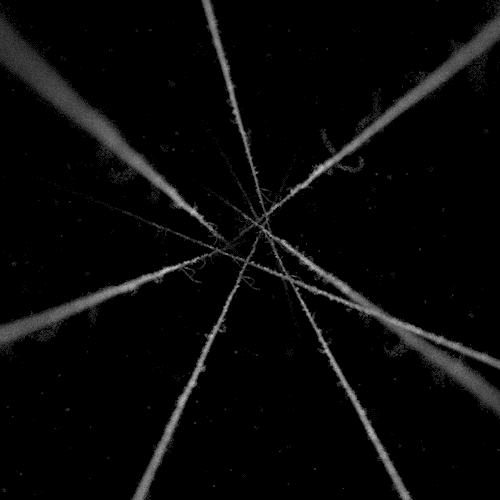 Threads of time